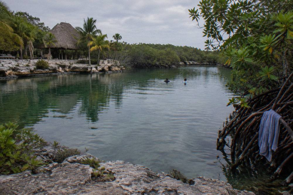 Swimmers floating on still green water inside a open cenote with limestone walls and hanging vines