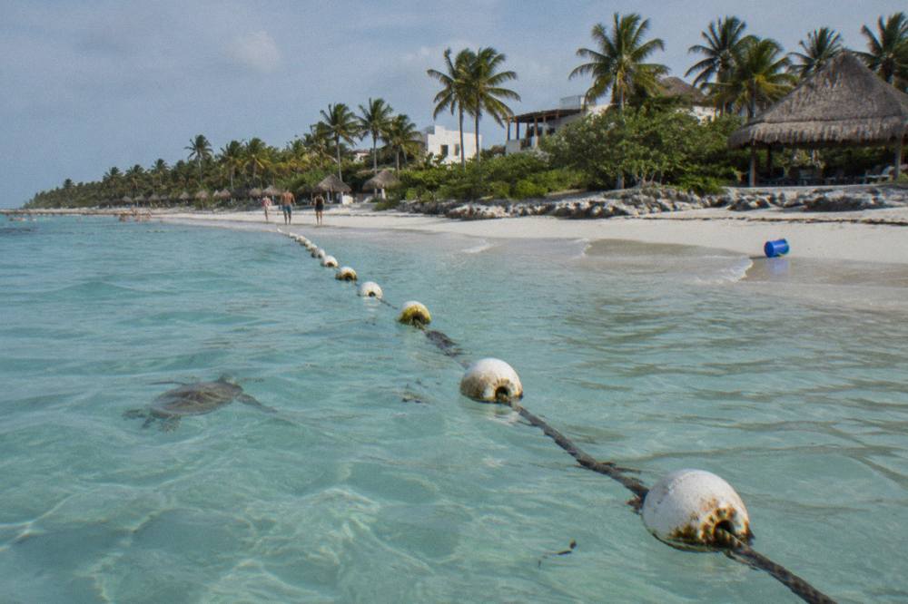 A calm bay with a buoy line stretching across shallow turquoise water and a white sand beach in the background