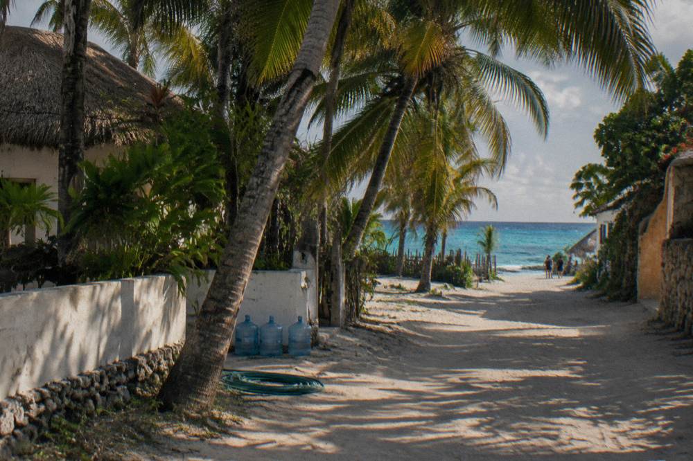 A tropical beach with palm trees leaning toward a calm blue-green sea under a partly cloudy sky