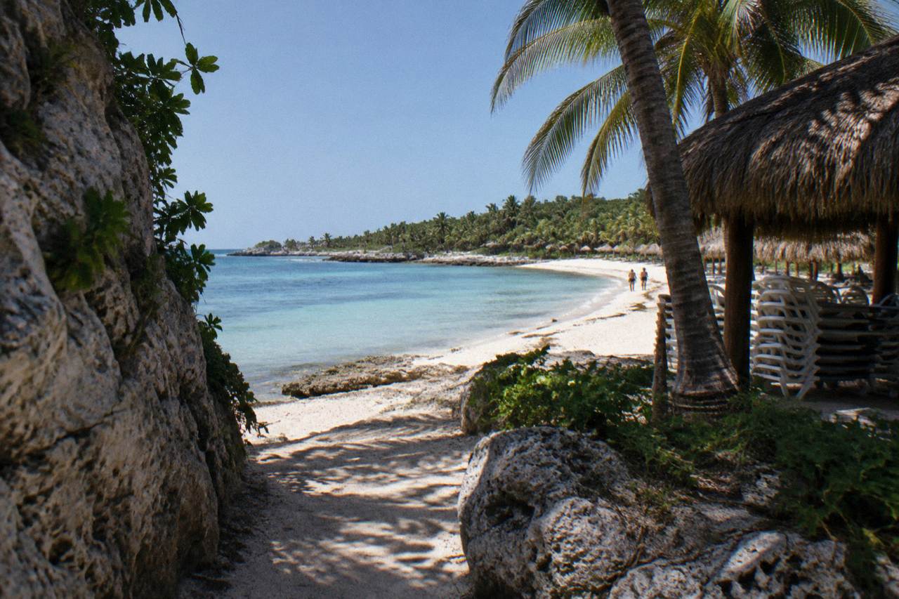 Calm turquoise water over a seagrass bed in Akumal Bay with distant palms along the shore