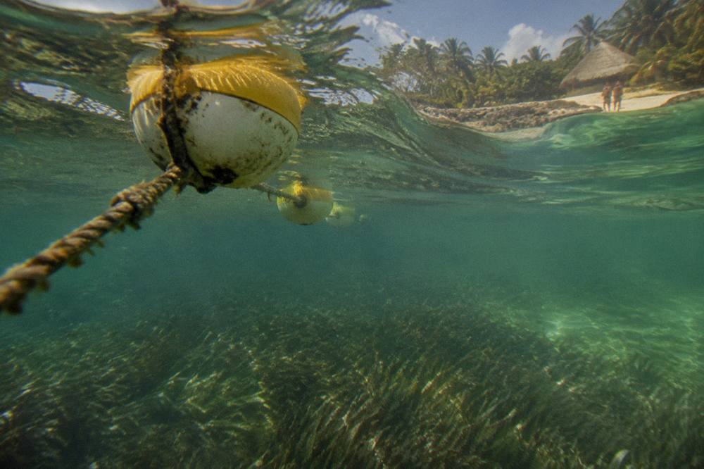Buoy line marking a swimming area across a shallow tropical bay