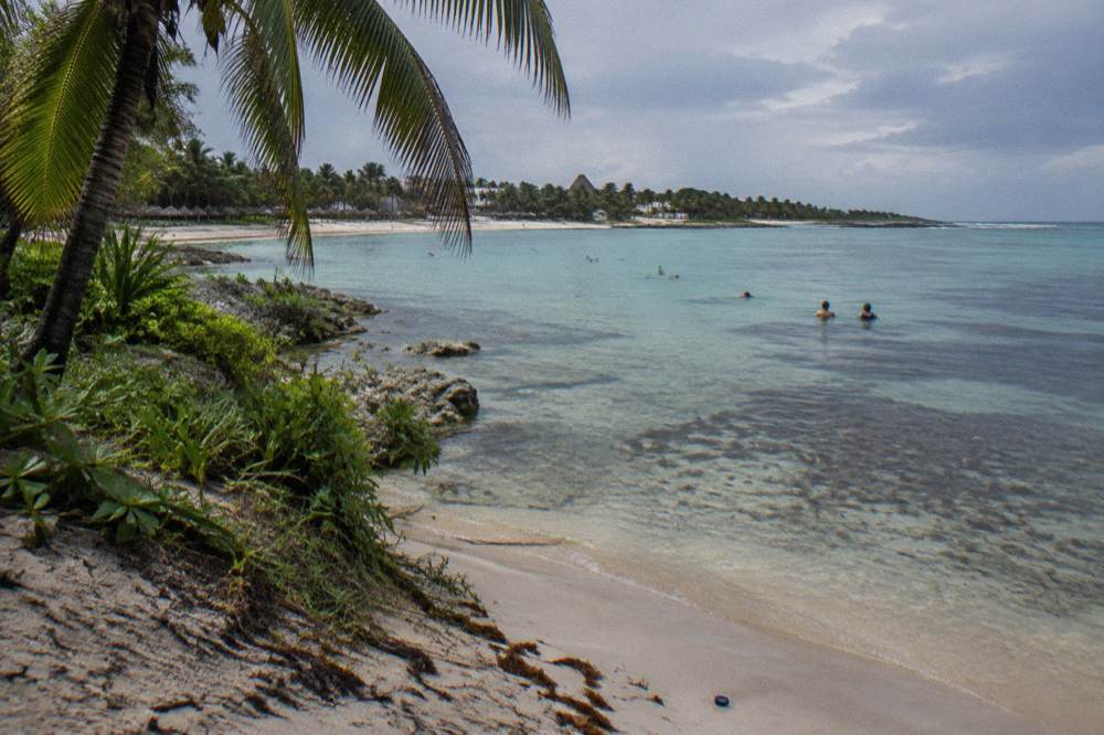 Wide view of a sheltered bay with clear shallow water over seagrass beds