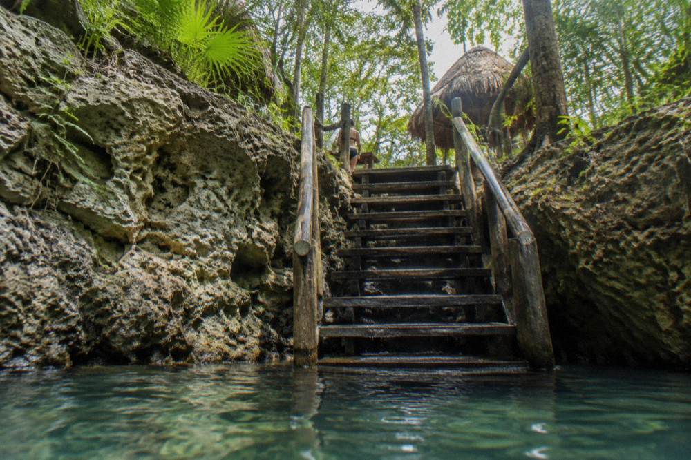 Open limestone cenote surrounded by jungle with clear water and wooden steps