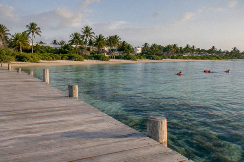 Shallow seagrass bed under clear water with a wooden dock and low tropical vegetation at the shoreline
