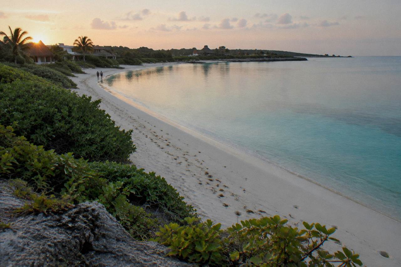 Calm turquoise bay with palm trees along a white sand shoreline