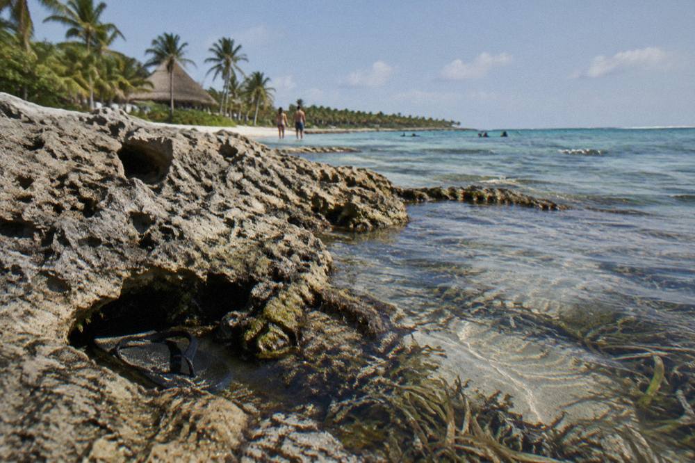 Shallow water near the Akumal shoreline with rocky patches and clear conditions