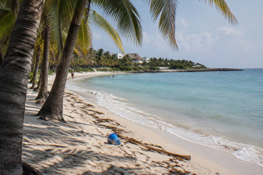 A stretch of Akumal beach with palm trees, white sand, and calm water