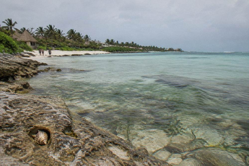 Rocky patches along the Akumal coastline with shallow clear water and green vegetation visible