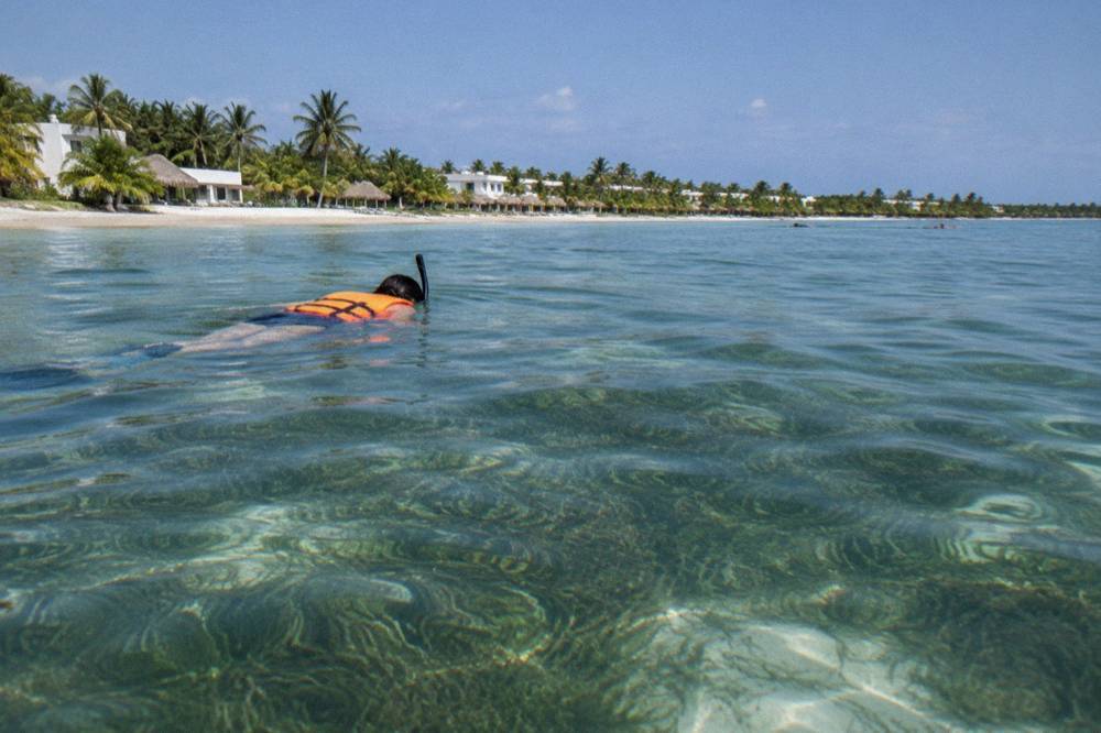 Snorkeler floating horizontally above a green seagrass bed in clear shallow bay water
