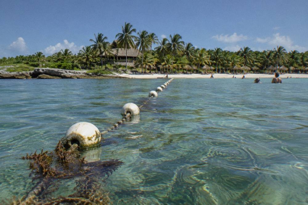 Shallow bay water over seagrass beds with a buoy line marking a protected swimming circuit