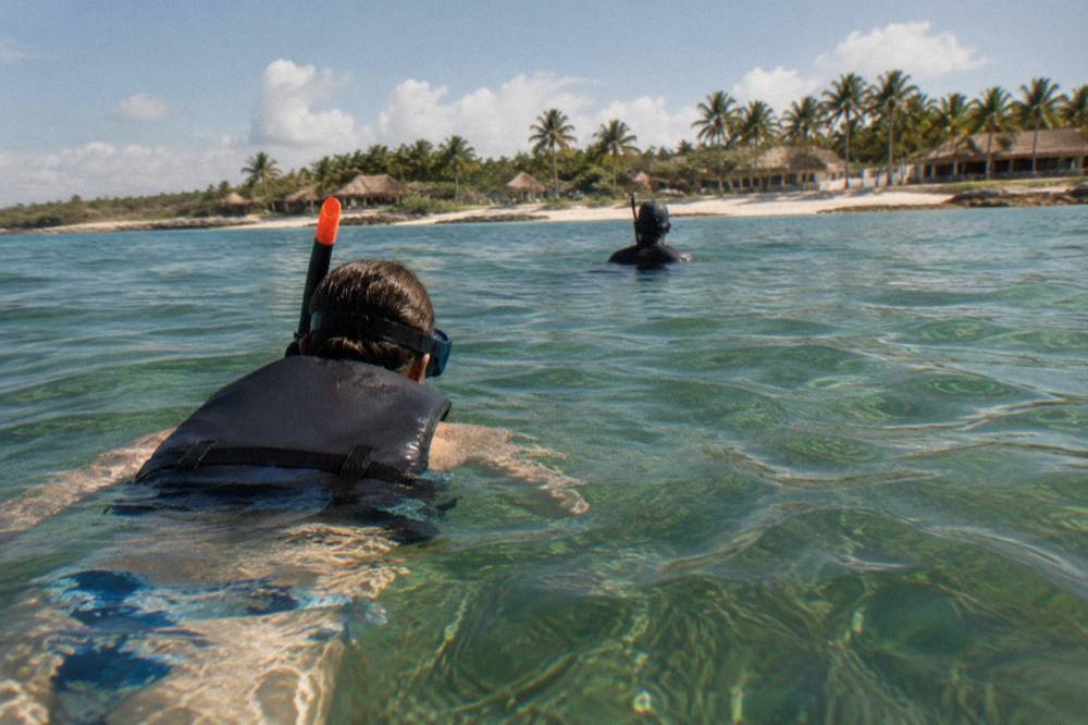 Snorkeler at the surface beside a guide over a seagrass bed in clear bay water