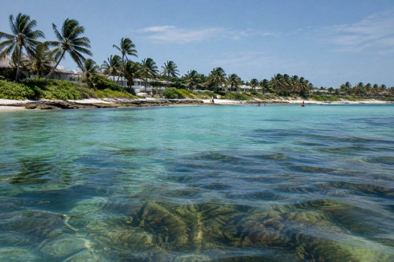 Calm turquoise bay with seagrass beds below the surface and palms along the shore