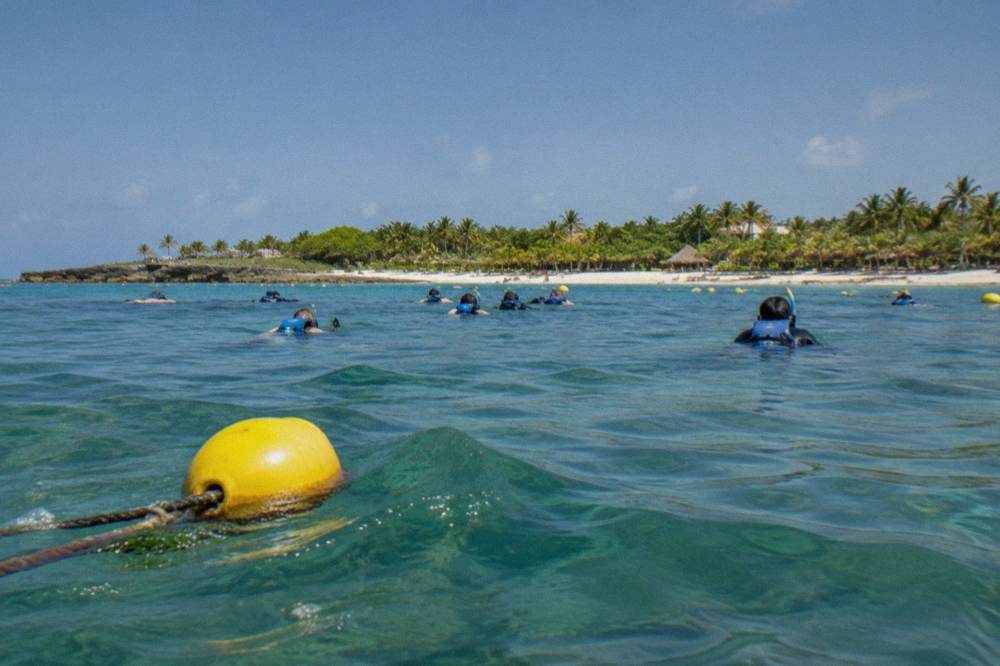 A small group of snorkelers in vests swimming behind a guide over seagrass in a buoyed circuit