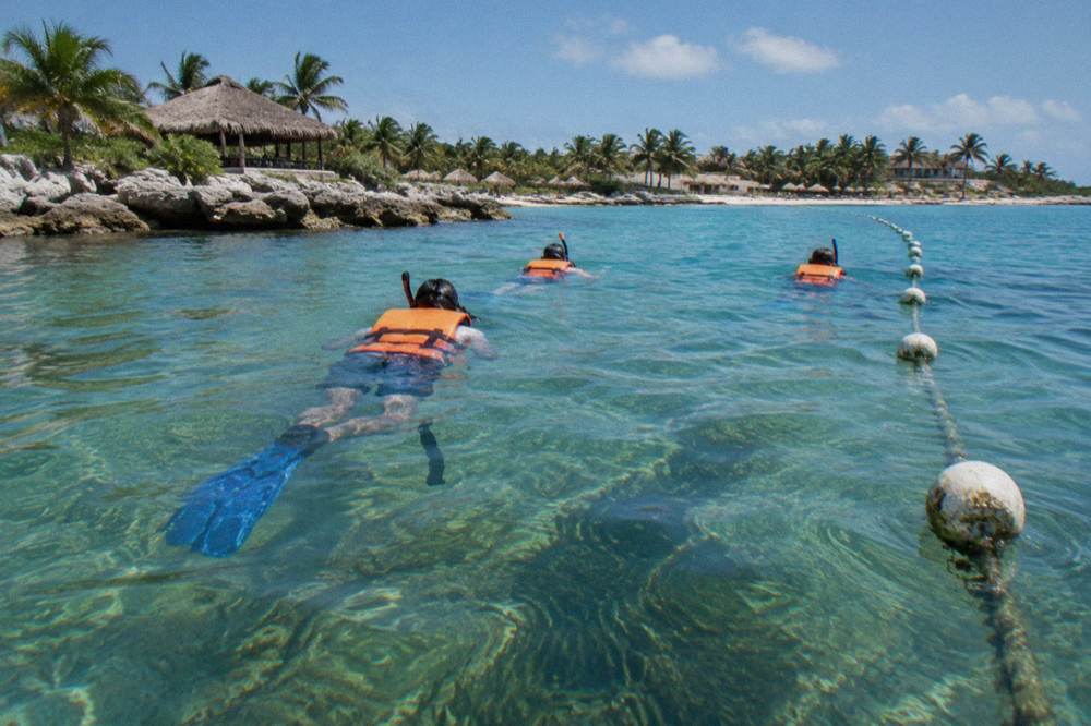 Snorkelers in life vests floating on the surface above a seagrass bed near a buoy line