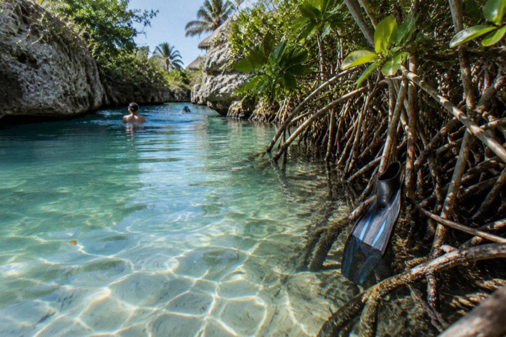 Sunlit freshwater cenote surrounded by rock walls and jungle vegetation