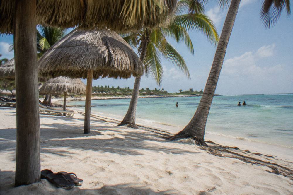 A sandy beach with palm trees, thatched shade structures and clear shallow water beyond