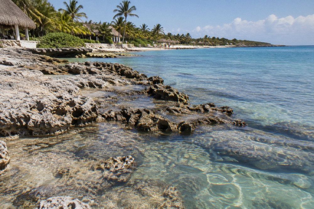 A rocky shoreline meeting calm clear water with scattered fish visible below the surface