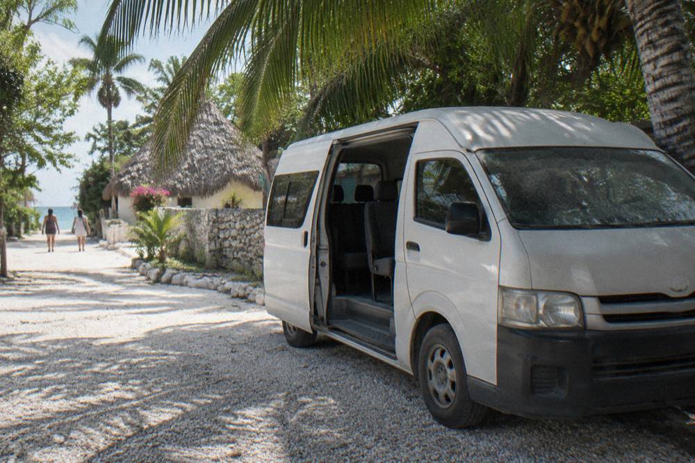 Passenger van parked beside a tropical road with palm trees