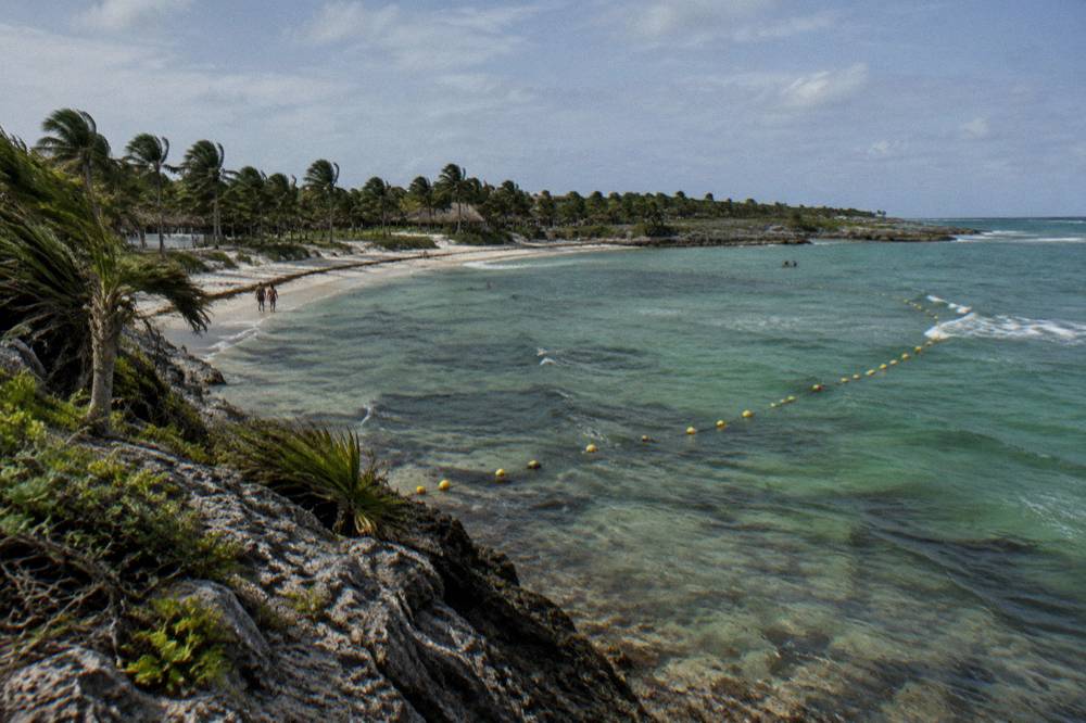 Buoy line marking a swimming area above green seagrass in clear shallow water