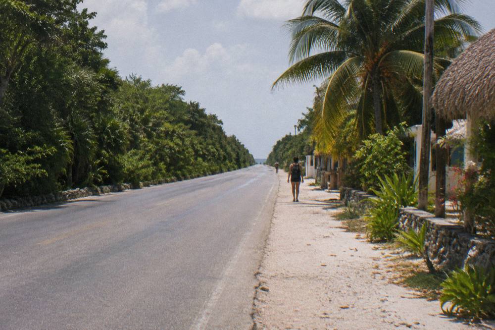Highway 307 roadside view with green jungle on both sides under a bright sky