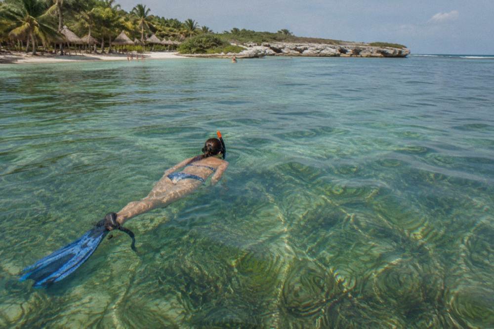 Snorkeler floating on the surface above a green seagrass bed in clear shallow water