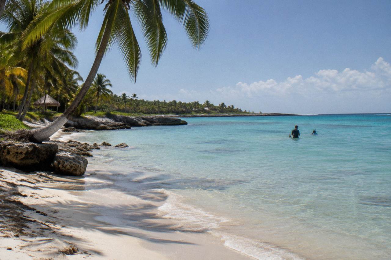 Calm turquoise water of Akumal Bay with a sandy beach and palm trees under a clear sky