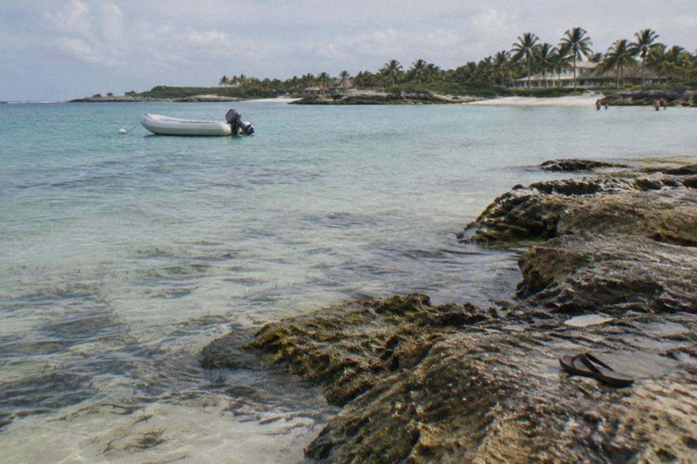 Shallow turquoise bay water over seagrass beds with a distant palm-lined shoreline