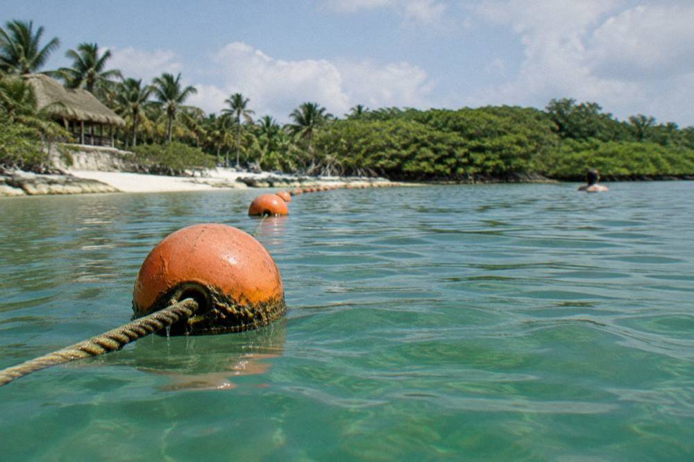 A line of orange buoys marking a swimming circuit across a calm bay