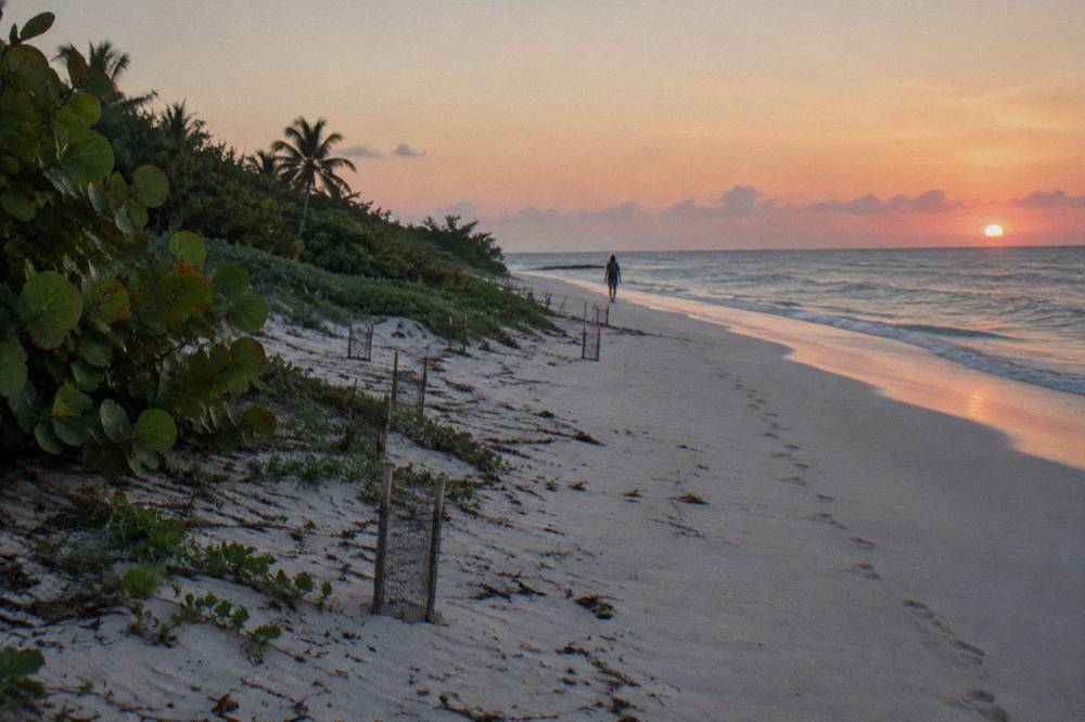Early morning light on an empty Caribbean beach with calm water and palm trees