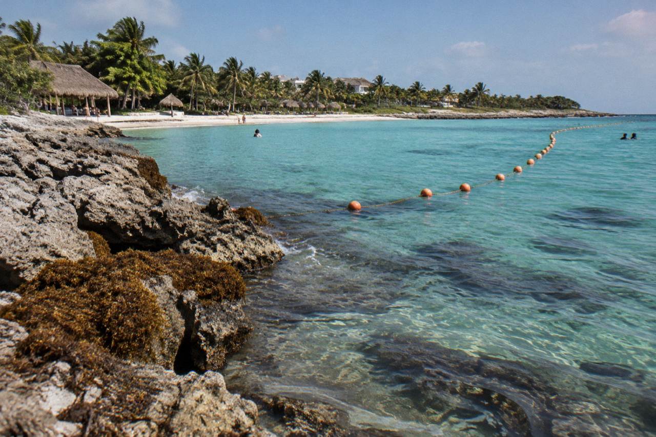 Calm turquoise water over a seagrass bed in Akumal Bay with a buoy line marking a swimming area