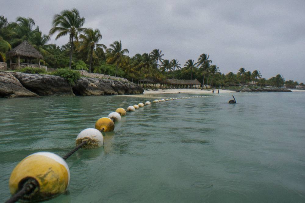 A buoy line marking a swimming area on calm green water in Akumal Bay