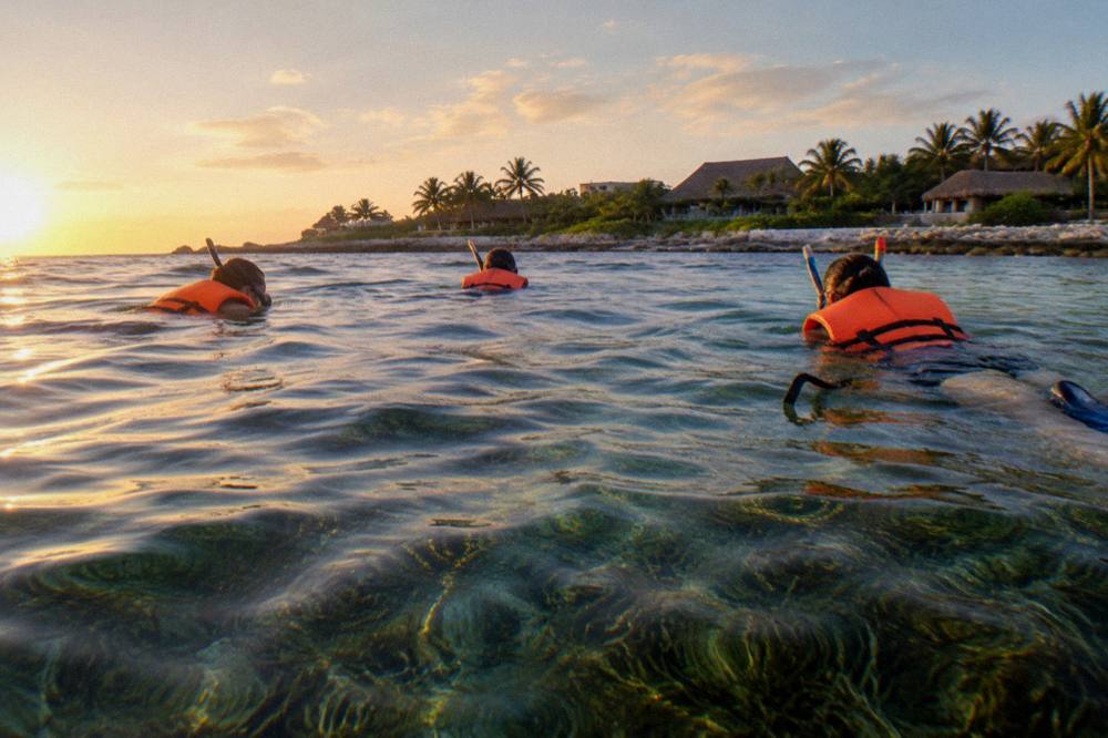 A small group of snorkelers in life vests swimming on the surface above a seagrass bed