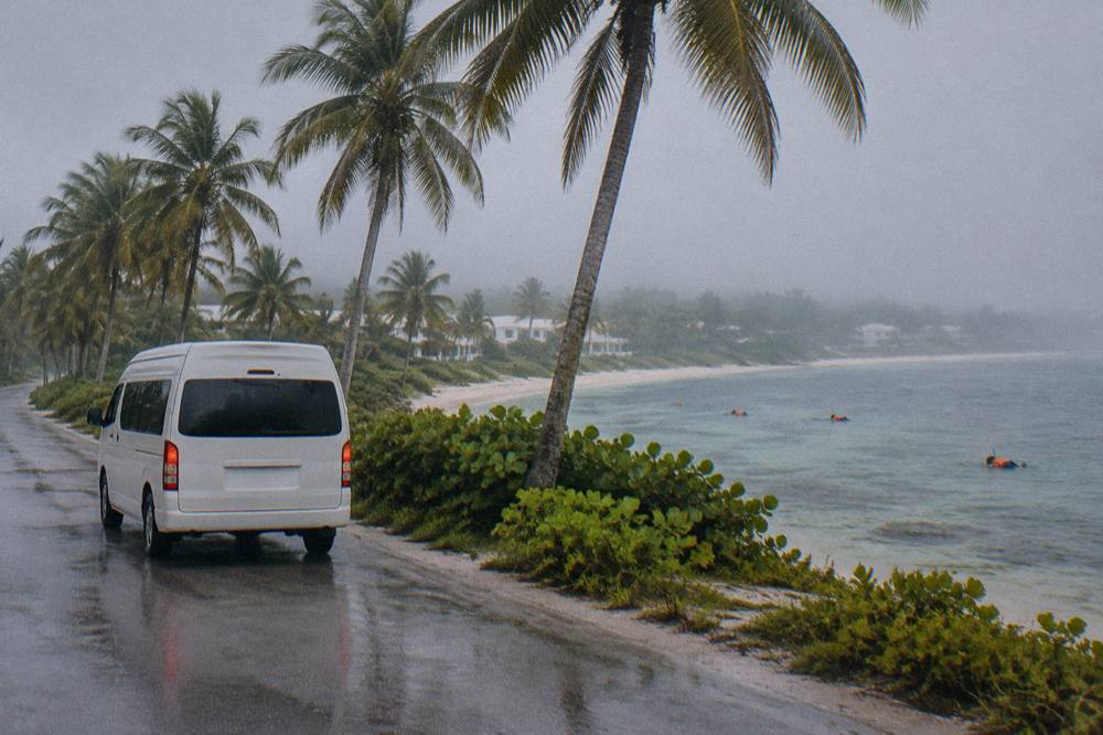 Tour van parked on a coastal road beside palm trees in early morning light