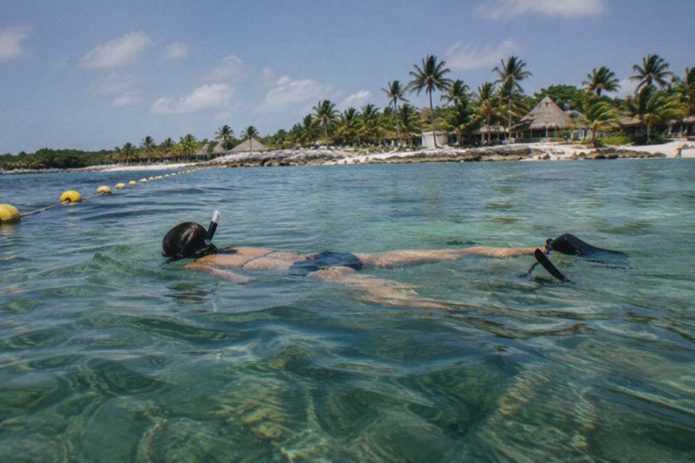 Snorkeler floating horizontally above a seagrass bed inside a buoyed swim area