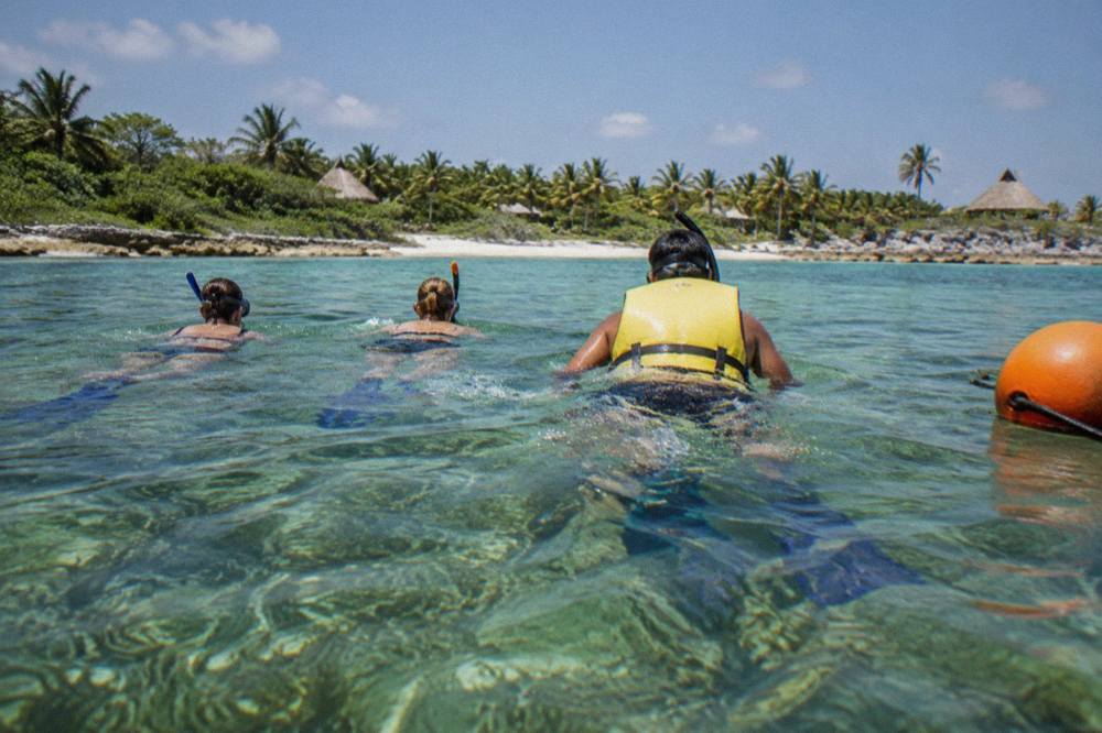 A guide leading two snorkelers across a shallow seagrass bed inside a buoyed turtle circuit
