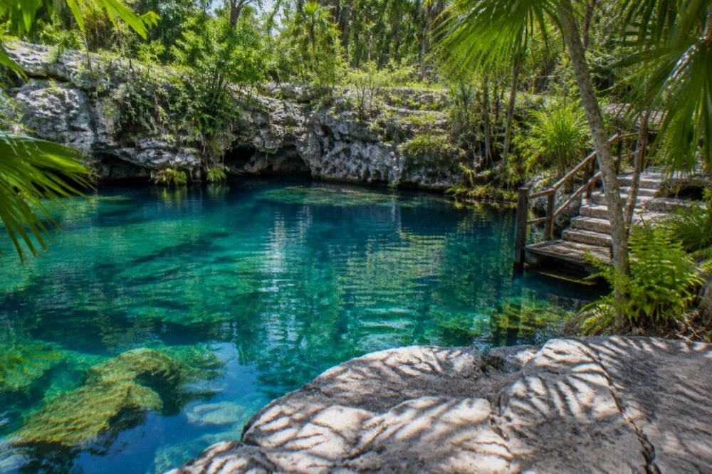 A turquoise cenote pool surrounded by jungle foliage and limestone rocks