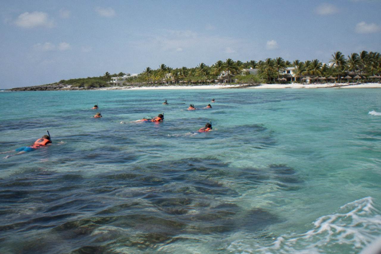 Calm turquoise bay with a roped swim area and palm trees along the shore