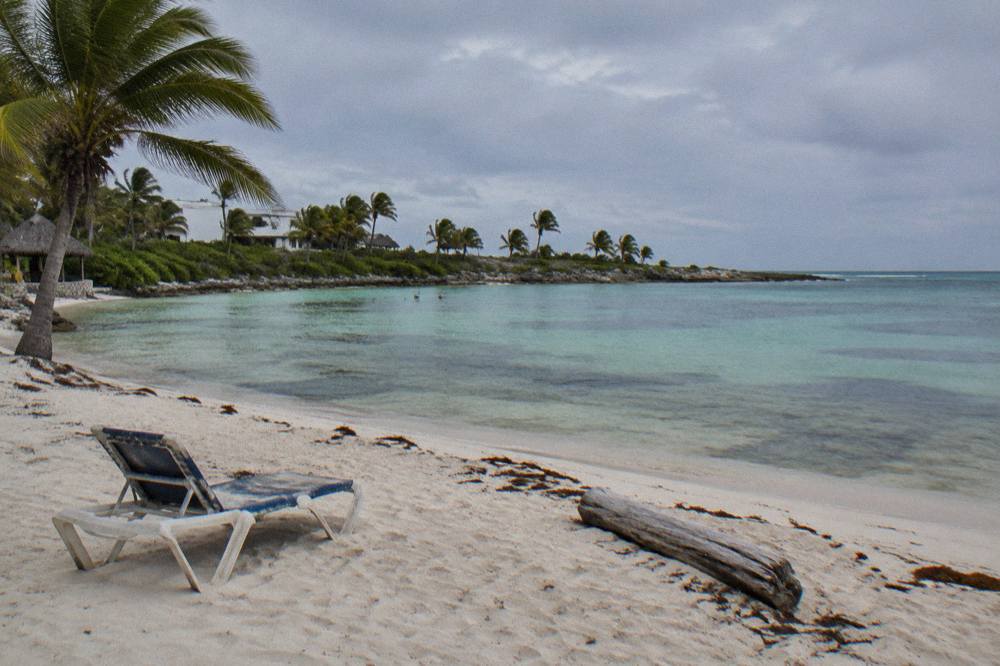 Quiet palm-lined beach with calm turquoise shallows and no people on the sand