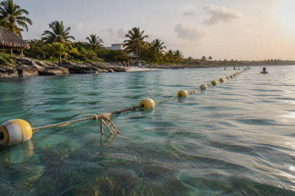 Clear shallow water over a seagrass bed with rope floats marking a swimming area