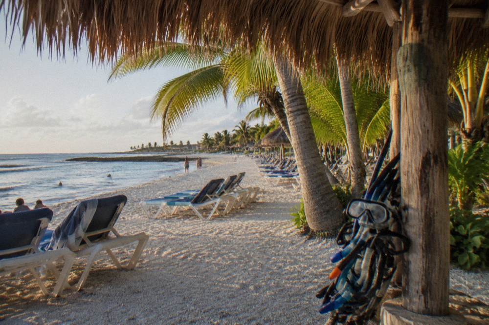 Beach entrance pathway with a thatched shade structure and rows of loungers under palms