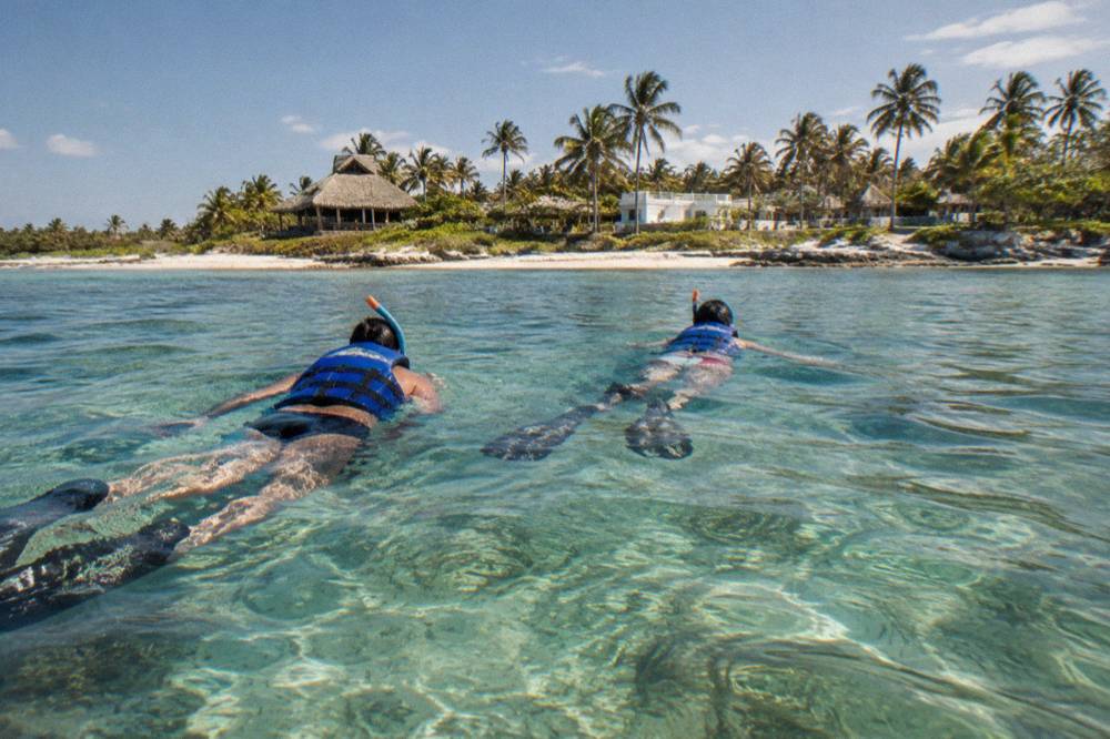 Snorkelers floating in clear shallow water above a seagrass bed near a sandy bay floor.