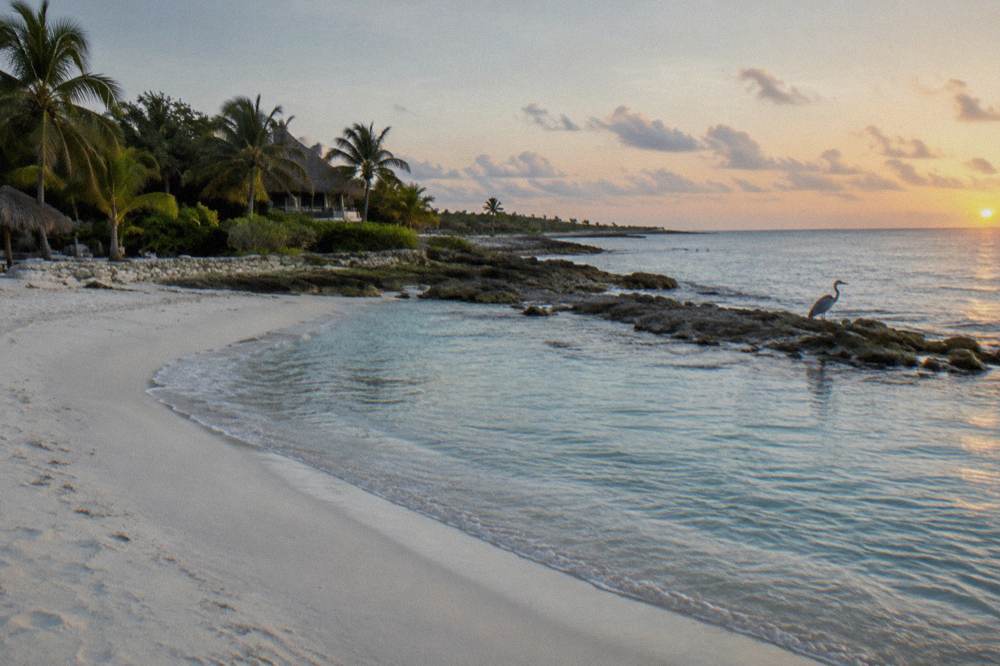 An empty crescent bay at first light, pale sand meeting gentle turquoise shallows under a clear sky.