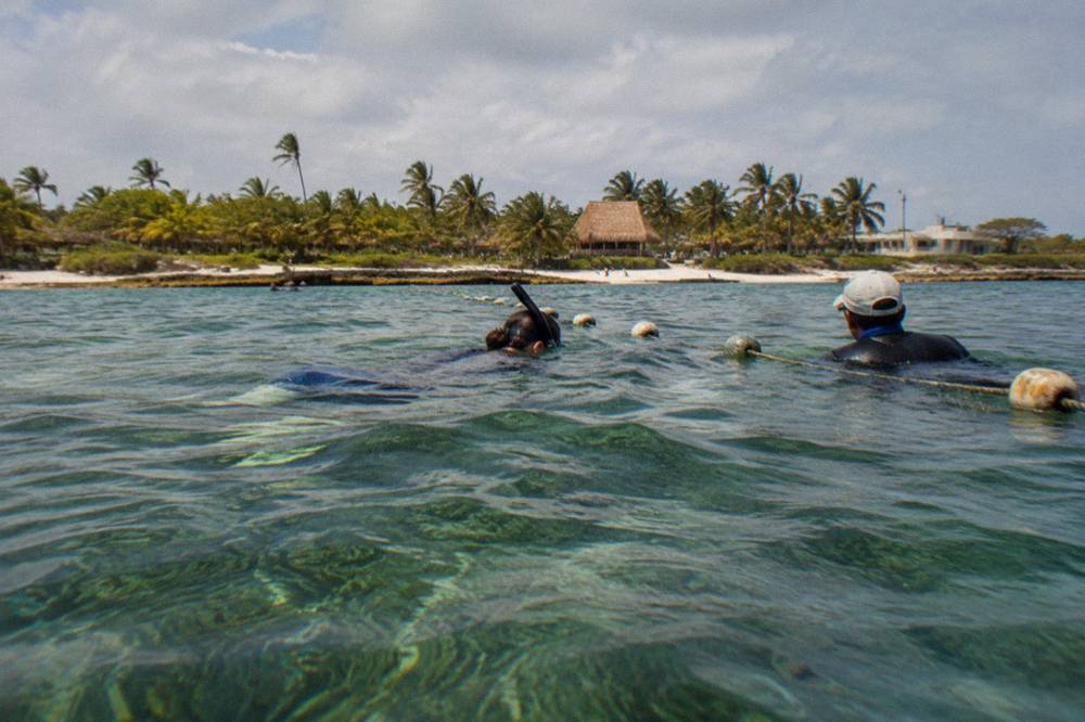 A single snorkeler beside a guide in calm water near a buoyed rope line