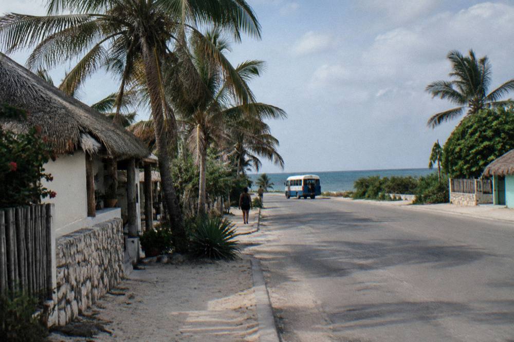 A coastal highway with palm trees and a blue sea horizon under scattered clouds