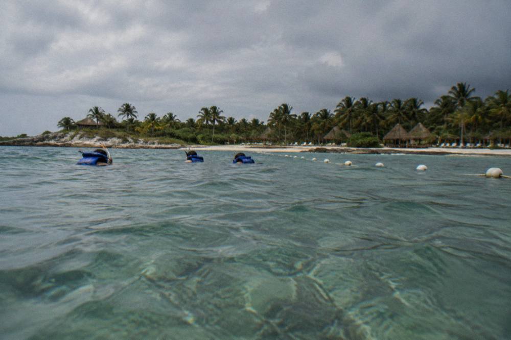 Snorkelers floating on calm green water above a sandy seagrass bed inside a marked swim area