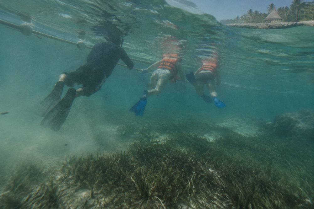 A guide leading a small line of snorkelers in vests along a rope and buoy line above seagrass