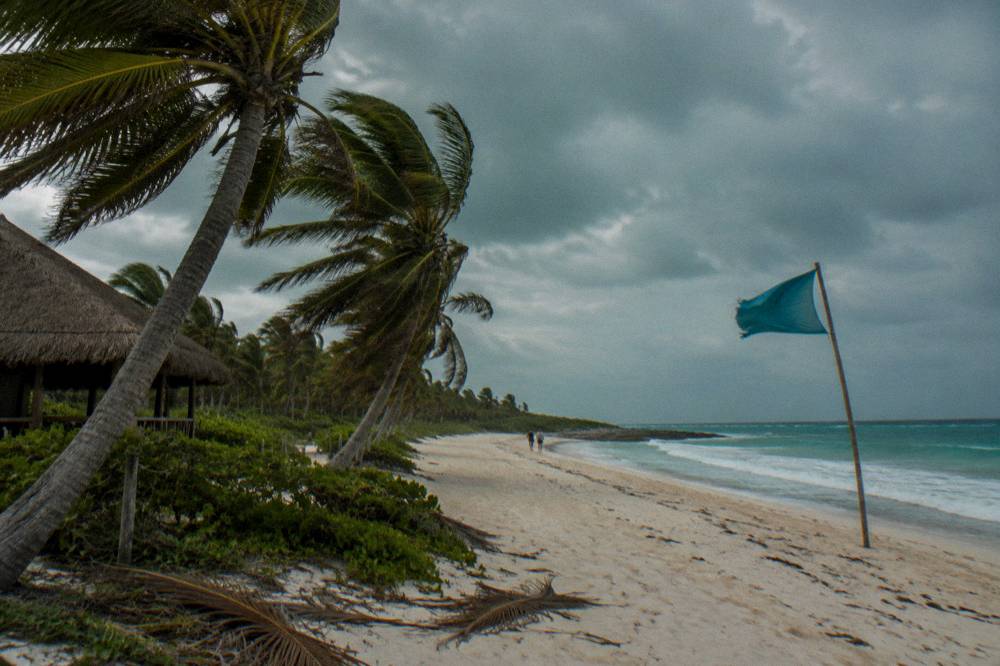 Palm trees leaning under grey tropical sky above an empty Caribbean beach before a storm