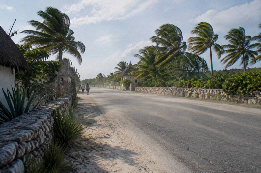 Coastal highway running south with palm trees and open sky