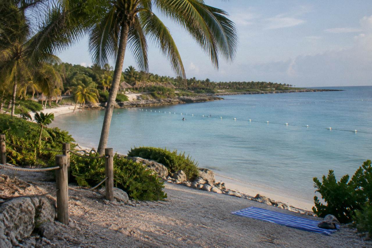 Calm turquoise bay water with a roped swimming area and palm trees along the shore