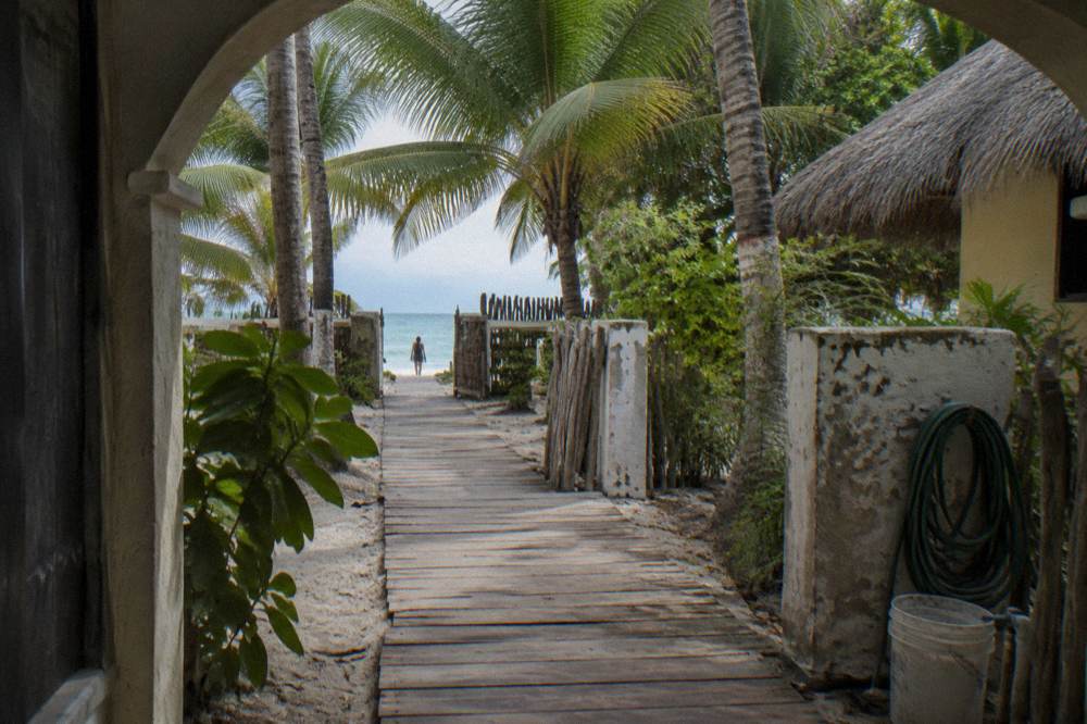 Wooden walkway through palm shade leading toward a small beach entry gate